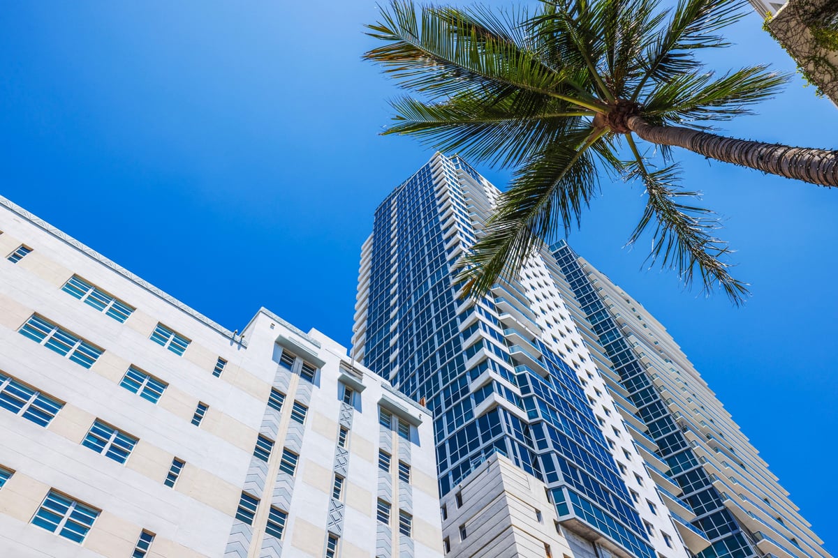 Modern high rise buildings and palm tree against blue sky with white clouds on background in sunny weather